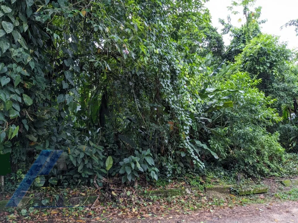 Terreno, 530 m² - Foto 4
