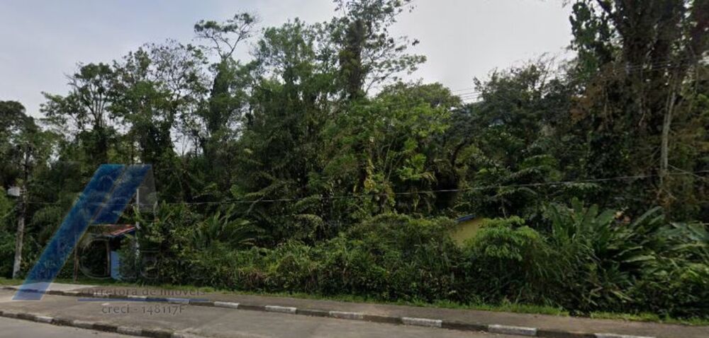 Sítio à venda com 2 quartos, 300m² - Foto 7