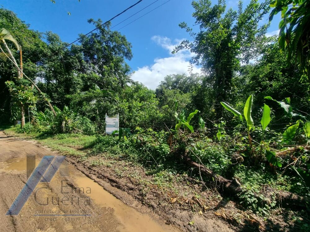 Terreno, 540 m² - Foto 2