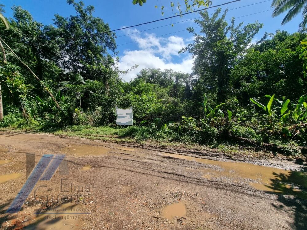 Terreno, 540 m² - Foto 3