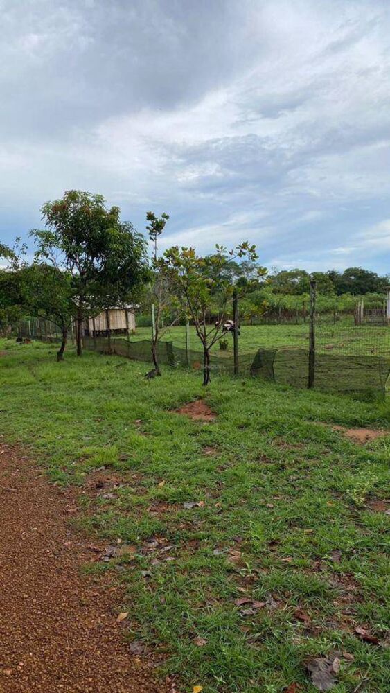 Chácara, 2 quartos, 1 hectares - Foto 14