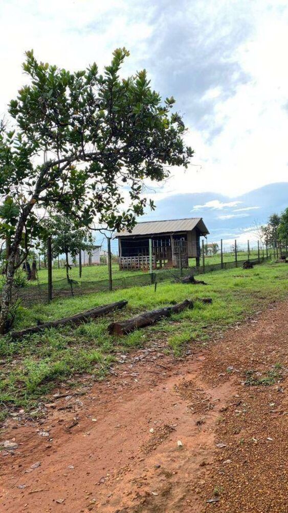 Chácara, 2 quartos, 1 hectares - Foto 20