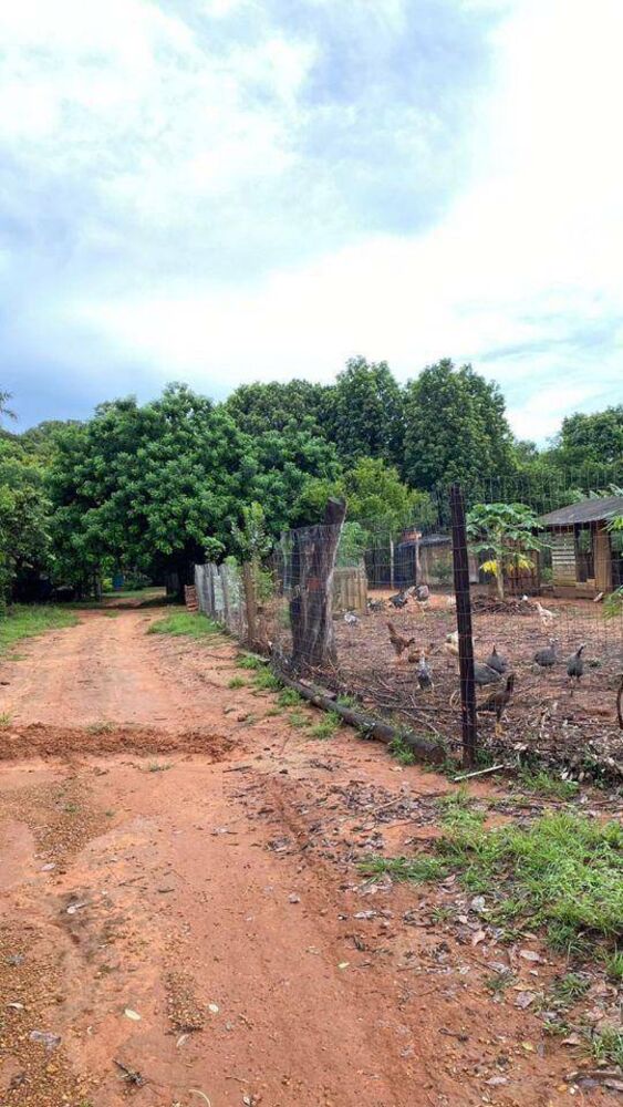 Chácara, 2 quartos, 1 hectares - Foto 24
