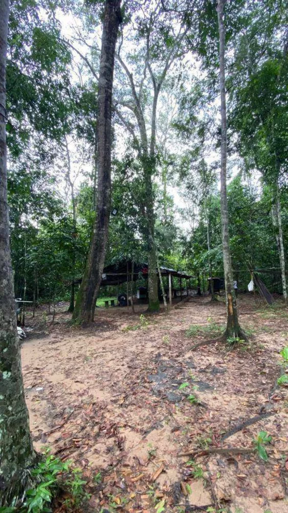 Chácara, 2 quartos, 1 hectares - Foto 4