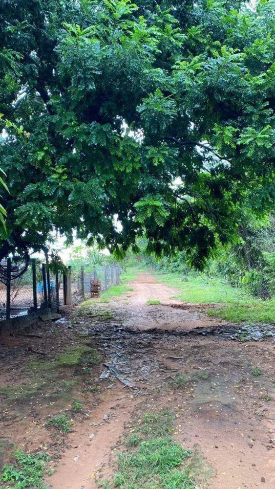 Chácara, 2 quartos, 1 hectares - Foto 1