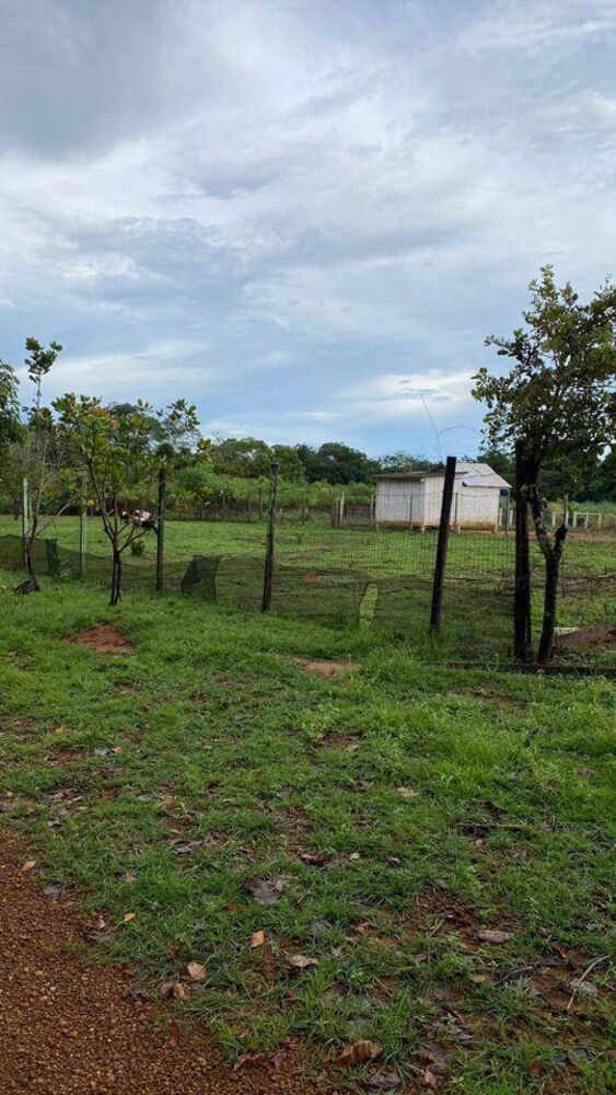 Chácara, 2 quartos, 1 hectares - Foto 15