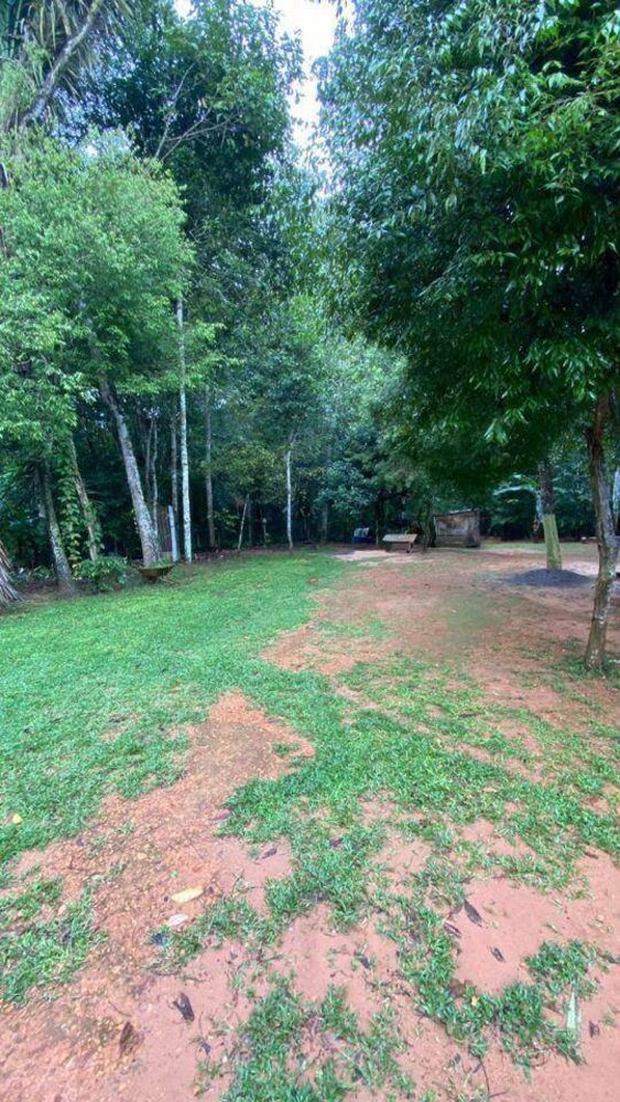 Chácara, 2 quartos, 1 hectares - Foto 23