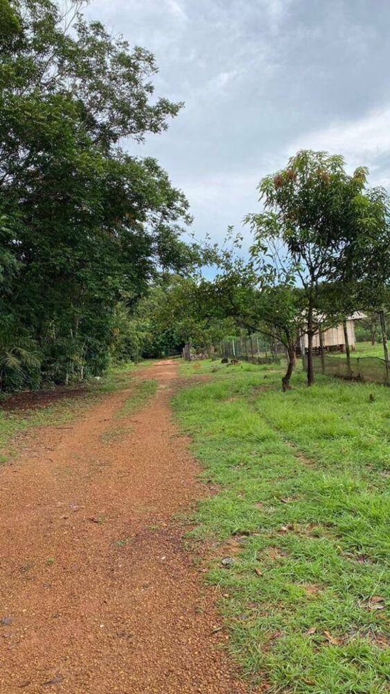 Chácara, 2 quartos, 1 hectares - Foto 16
