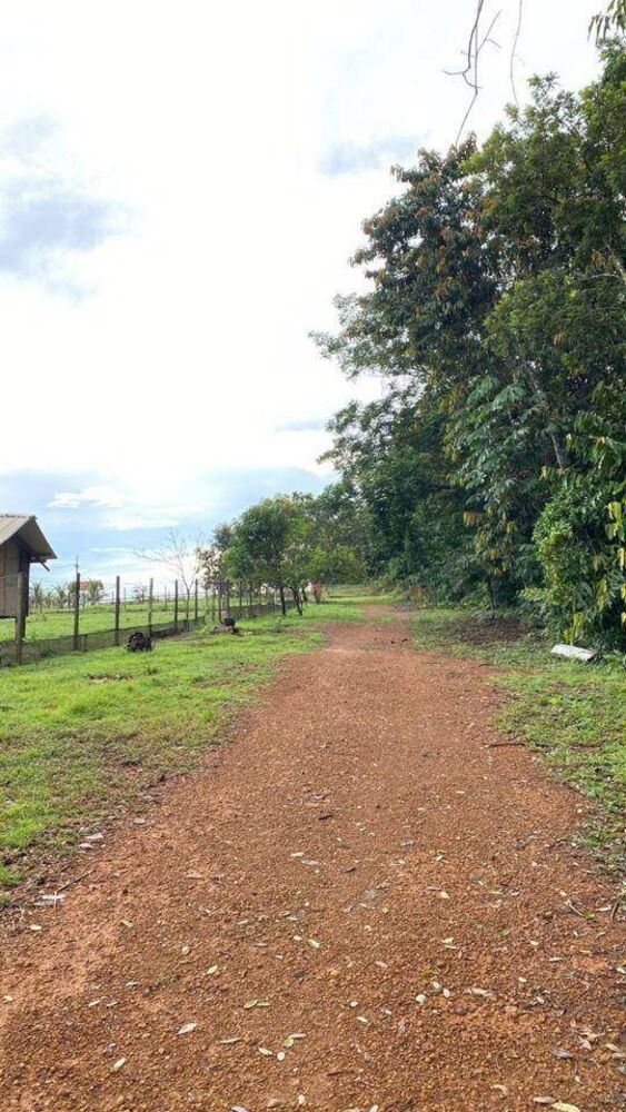 Chácara, 2 quartos, 1 hectares - Foto 17