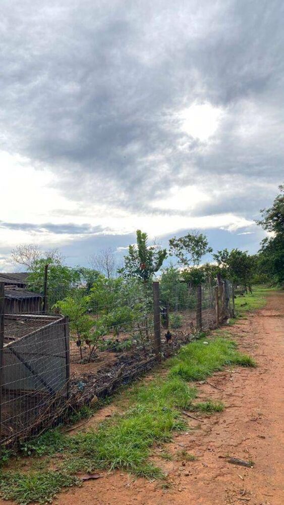 Chácara, 2 quartos, 1 hectares - Foto 19