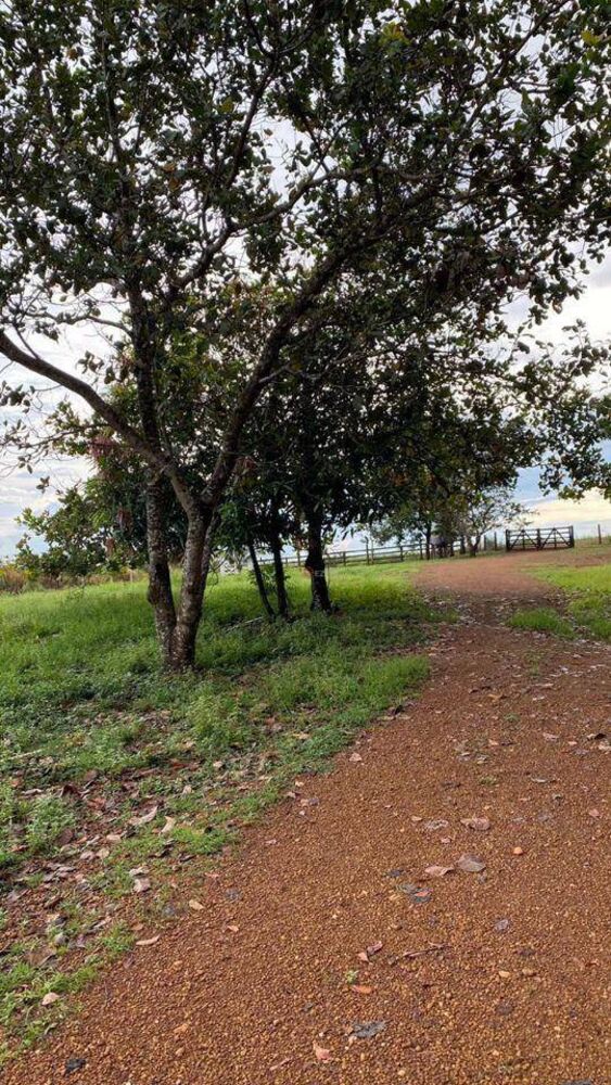 Chácara, 2 quartos, 1 hectares - Foto 18