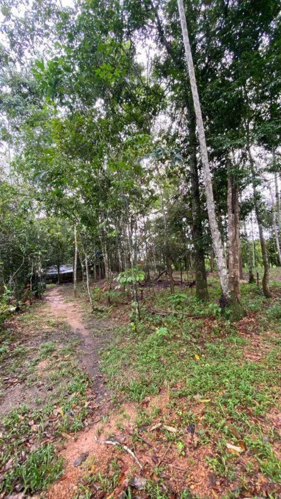 Chácara, 2 quartos, 1 hectares - Foto 9