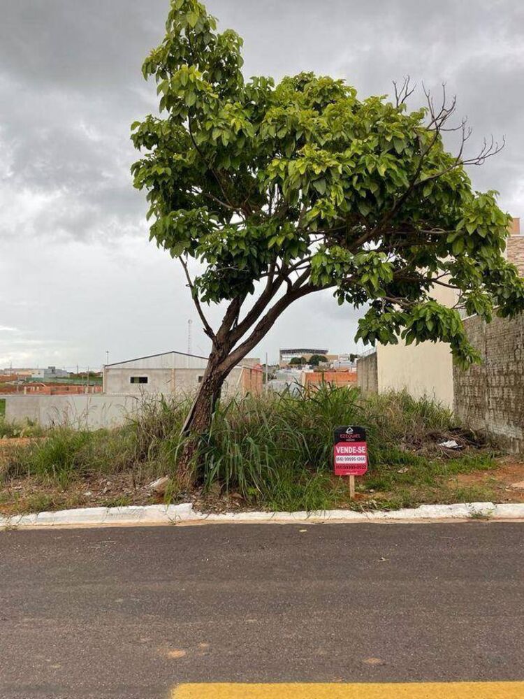 Terreno, 250 m² - Foto 3