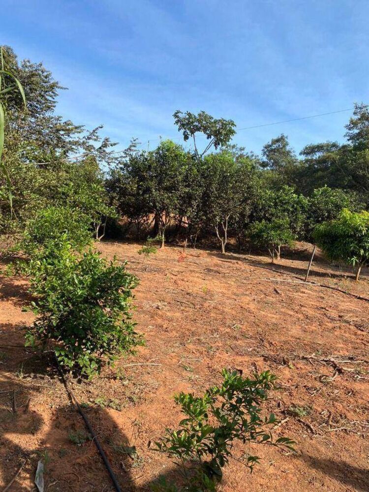 Chácara, 1 quarto, 460 m² - Foto 1