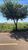 Terreno, 260 m² - Foto 3