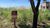 Terreno, 260 m² - Foto 1