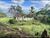 Terreno, 6 hectares - Foto 3