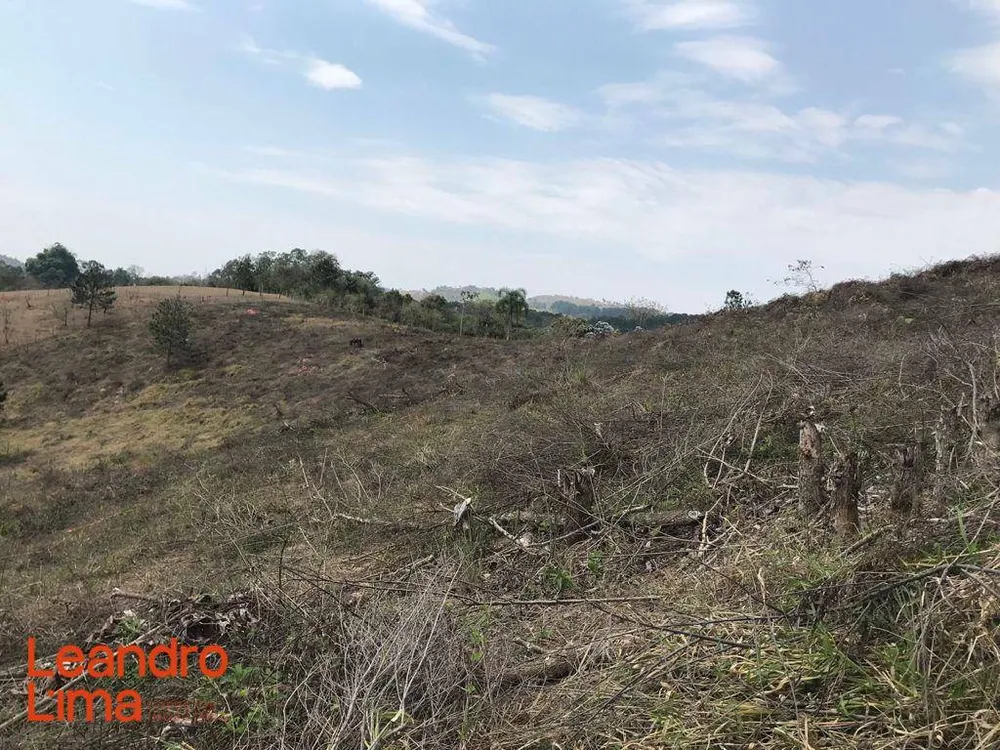 Terreno, 4 hectares - Foto 1
