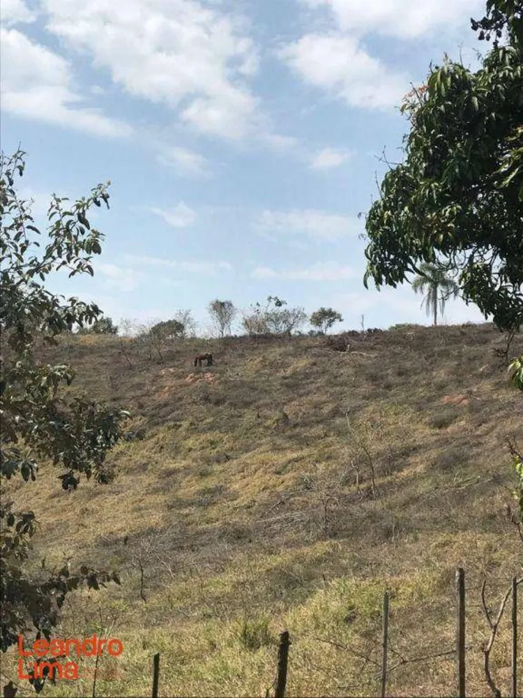 Terreno, 4 hectares - Foto 11
