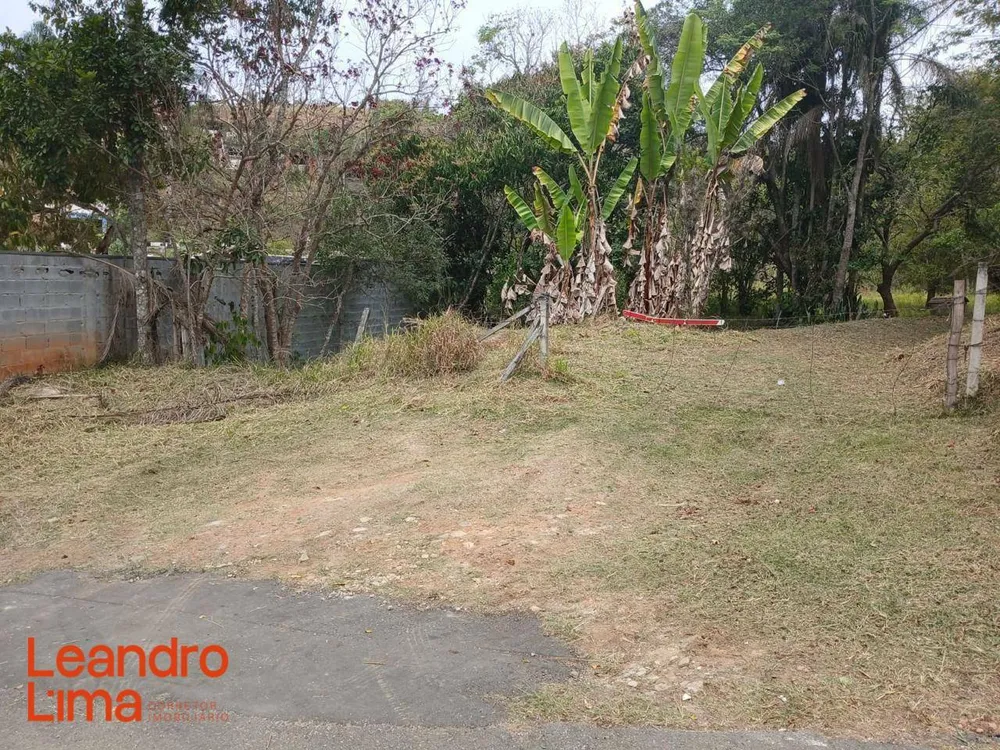 Terreno, 4 hectares - Foto 4