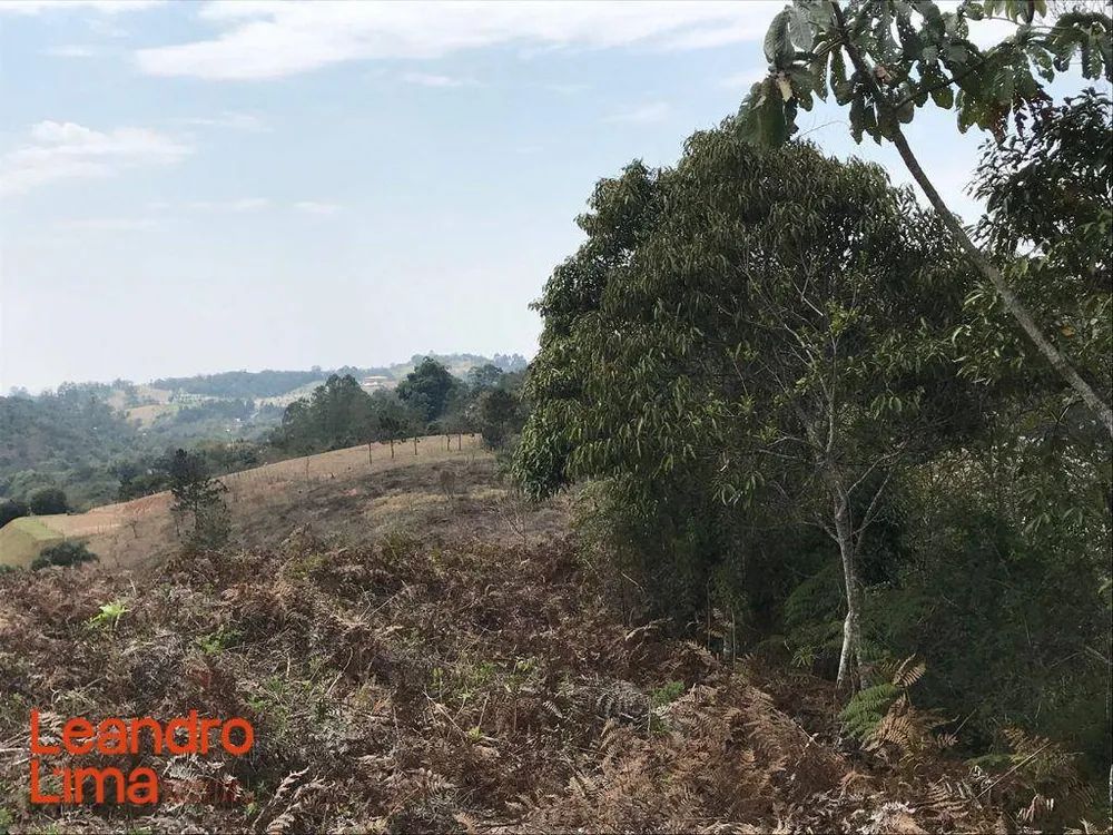 Terreno, 4 hectares - Foto 10