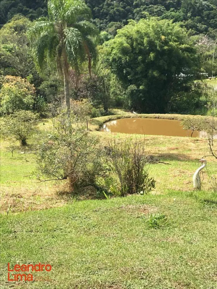 Terreno, 4 hectares - Foto 3