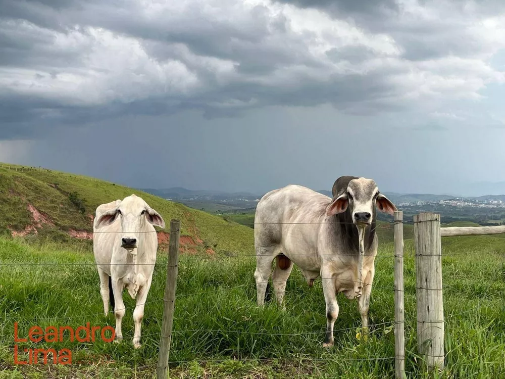 Fazenda à venda, 2060000M2 - Foto 4