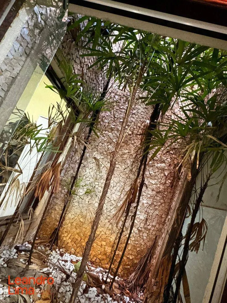 Casa, 3 quartos, 650 m² - Foto 6