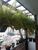 Apartamento, 3 quartos, 80 m² - Foto 4