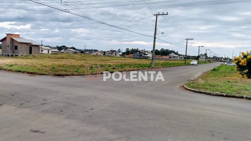 Terreno - Foto 6