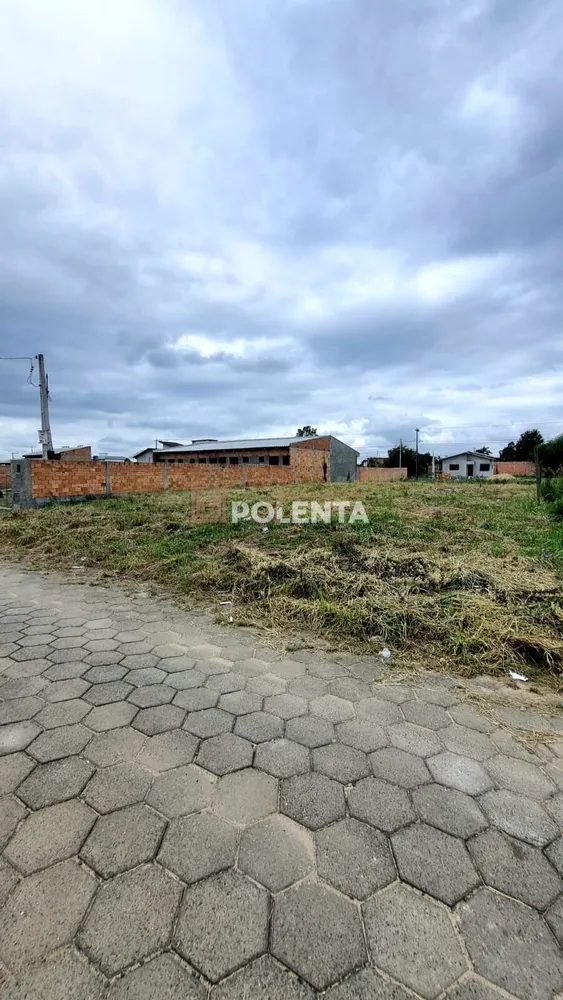 Terreno - Foto 2