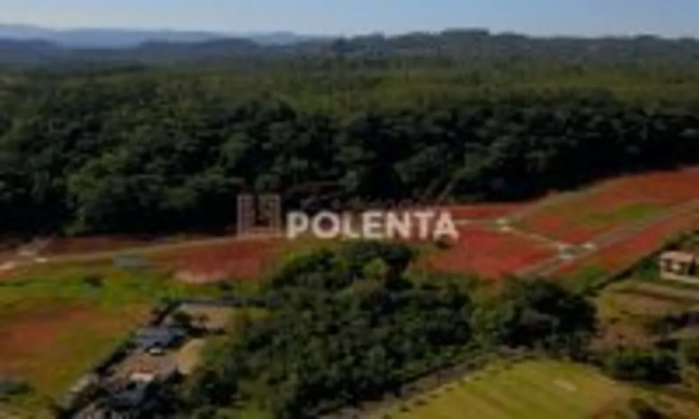Terreno, 375 m² - Foto 4