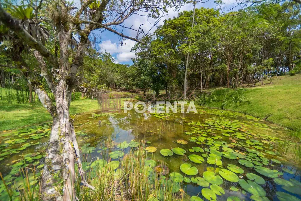 Terreno, 1200 m² - Foto 7