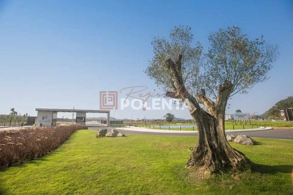 Depósito-Galpão, 4000 m² - Foto 2
