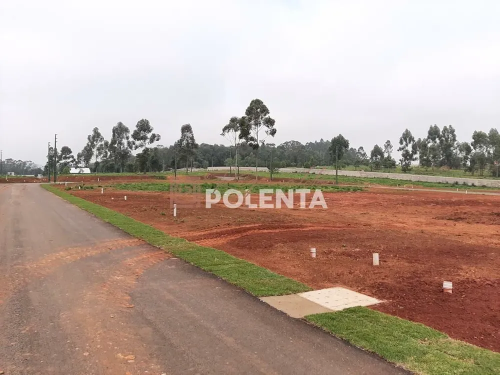 Terreno, 560 m² - Foto 2