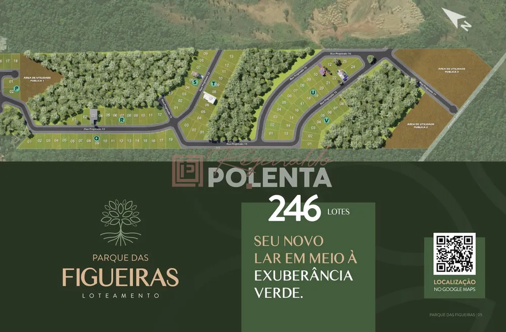 Terreno - Foto 11