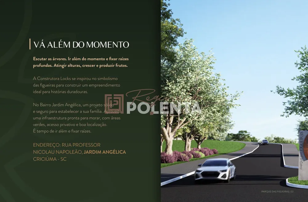 Terreno - Foto 3