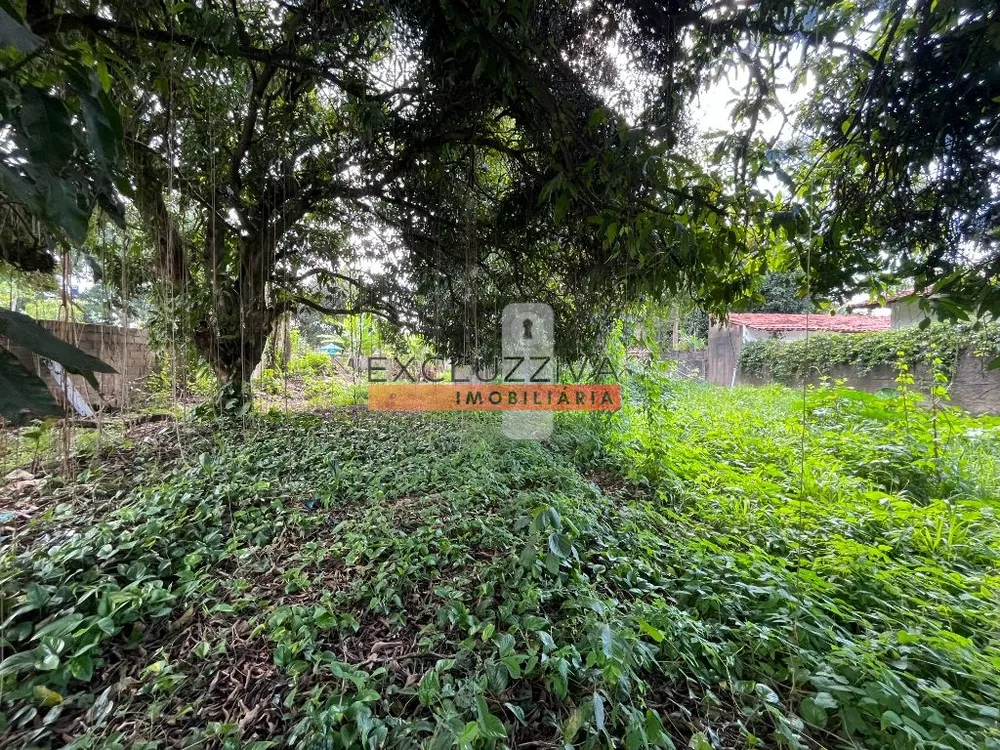 Terreno, 1856 m² - Foto 10