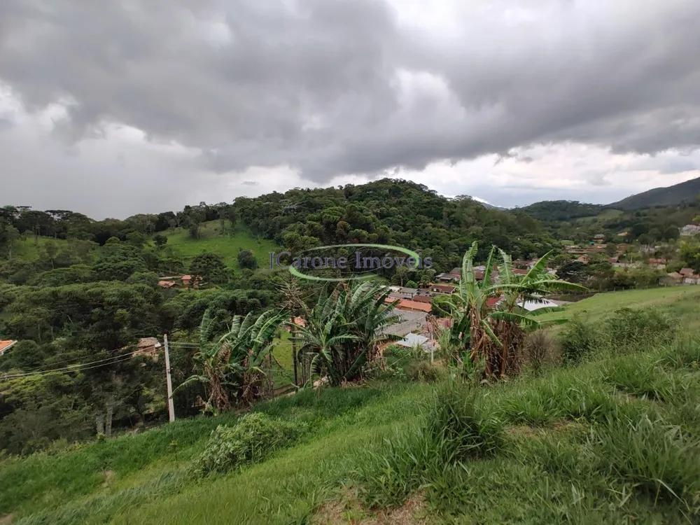 Casa, 6 quartos, 2500 m² - Foto 12