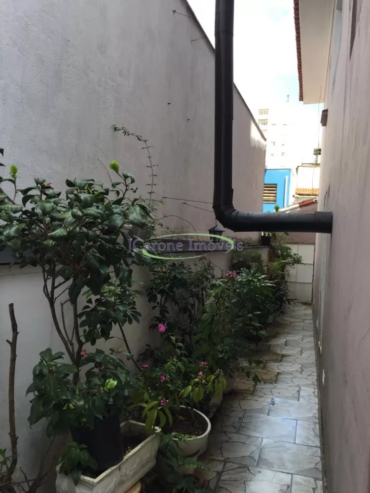 Casa, 5 quartos, 260 m² - Foto 7