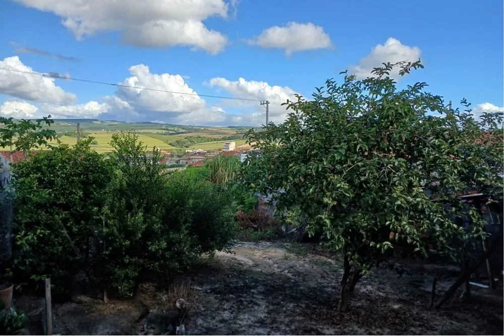 Terreno, 300 m² - Foto 4