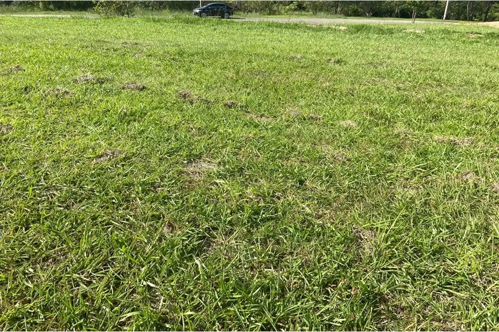 Terreno, 1006 m² - Foto 4