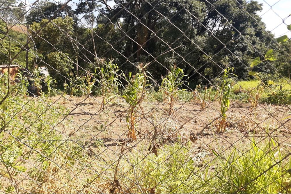 Terreno à venda, 1300m² - Foto 6