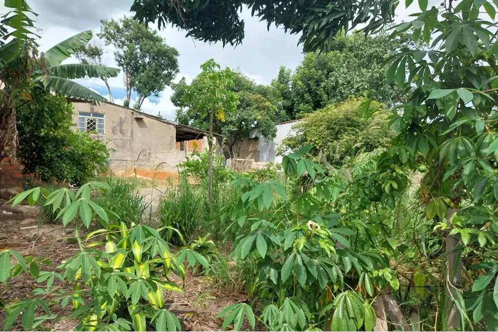 Chácara, 5 quartos, 938 m² - Foto 4