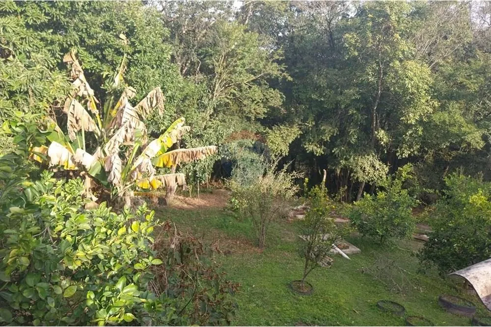 Chácara, 2 quartos, 1003 m² - Foto 8