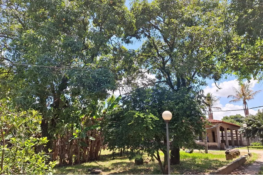 Chácara, 2 quartos, 1490 m² - Foto 4