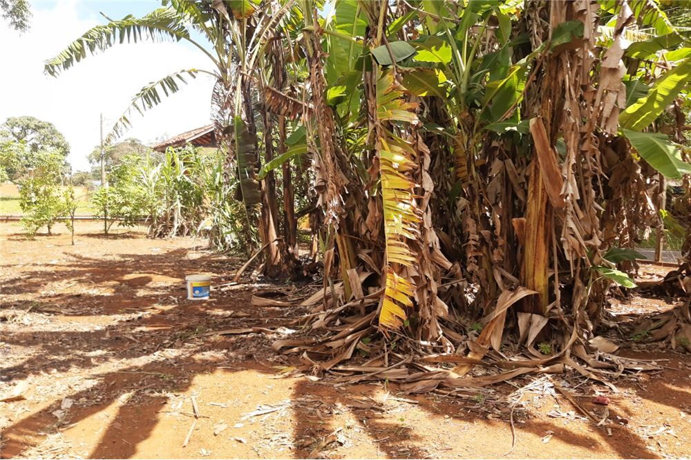 Chácara à venda com 7 quartos, 400m² - Foto 24