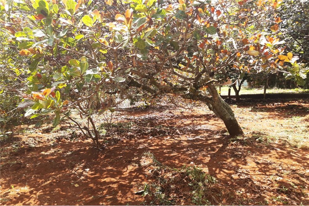 Chácara à venda com 7 quartos, 400m² - Foto 2
