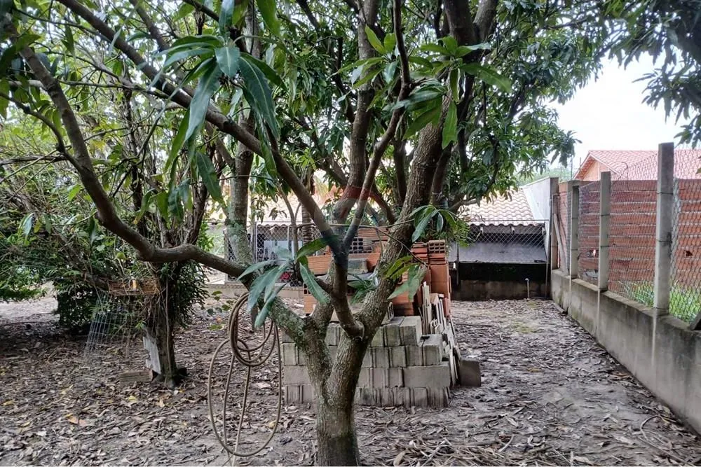 Chácara, 2 quartos, 1000 m² - Foto 4