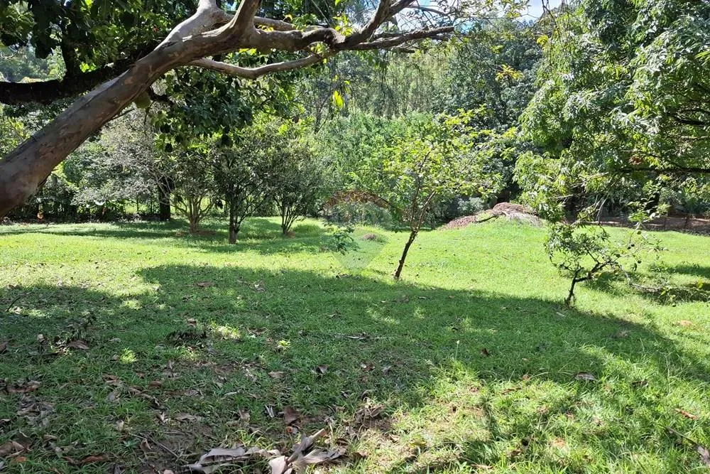 Sítio, 4 quartos, 2800 m² - Foto 4